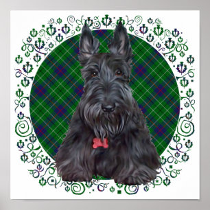 Scottish Terrier über Tartan Poster