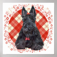 Scottish Terrier über Tartan