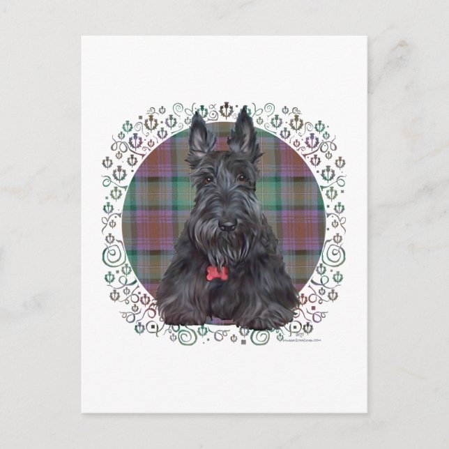 Scottish Terrier über Tartan Postkarte (Vorderseite)