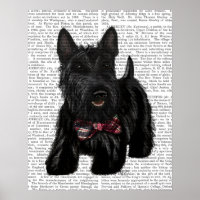 Scottish Terrier und Bow