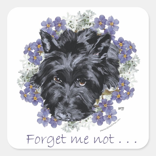 Scottish Terrier Vergessen-Me-Not Quadratischer Aufkleber (Vorderseite)