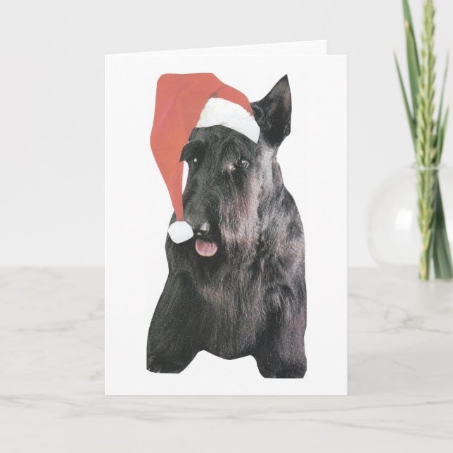 Scottish Terrier Weihnachtsmannmütze Weihnachten (Vorderseite)
