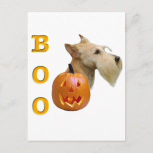 Scottish Terrier (Wheaten) Boo Postkarte
