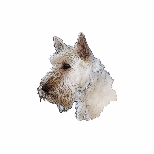 Scottish Terrier (Wheaten) Freistehende Fotoskulptur (Vorne)
