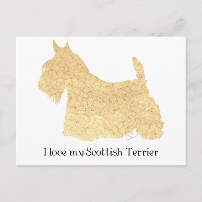 Scottish Terrier Wheaten Silhouette Postkarte (Vorderseite)