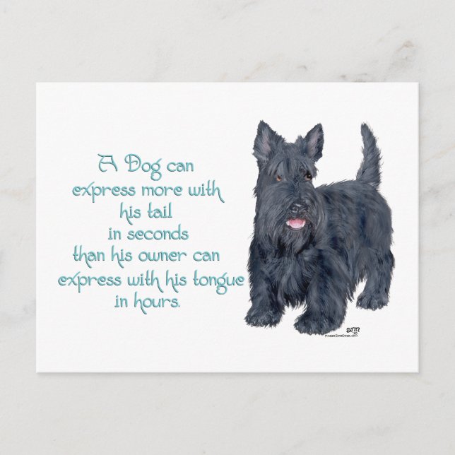 Scottish Terrier Wit & Weisheit - Sprechen Postkarte (Vorderseite)
