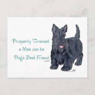 Scottish Terrier Wit & Weisheit - Training Postkarte