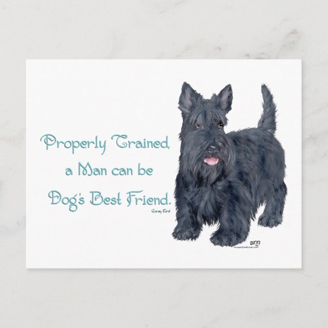 Scottish Terrier Wit & Wisdom - Ausbildung Postkarte (Vorderseite)