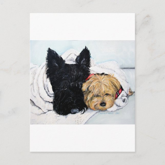 Scottish Terrier & Yorkie Best Friends Postkarte (Vorderseite)