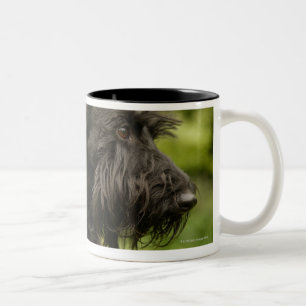 Scottish Terrier Zweifarbige Tasse