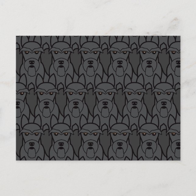 Scottish Terriers Postkarte (Vorderseite)