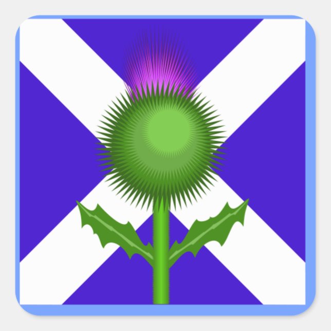 Scottish Thistle and Flag, Quadratischer Aufkleber (Vorderseite)