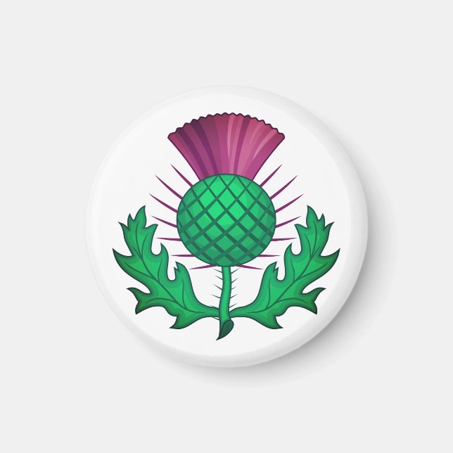 Scottish Thistle Magnet (Vorne)