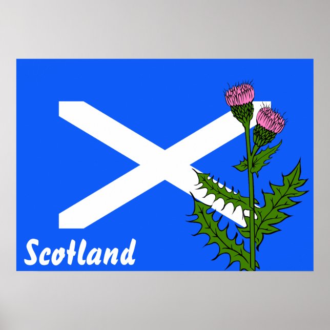Scottish thistle poster (Vorne)