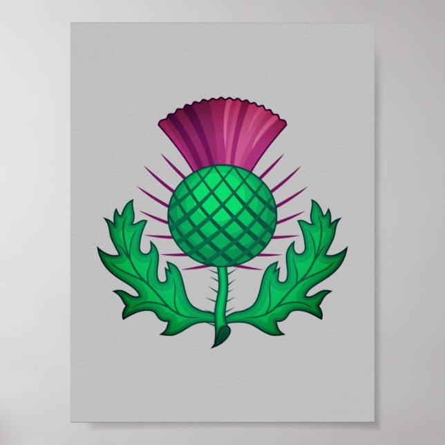 Scottish Thistle Poster (Vorne)