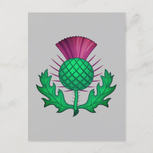Scottish Thistle Postkarte