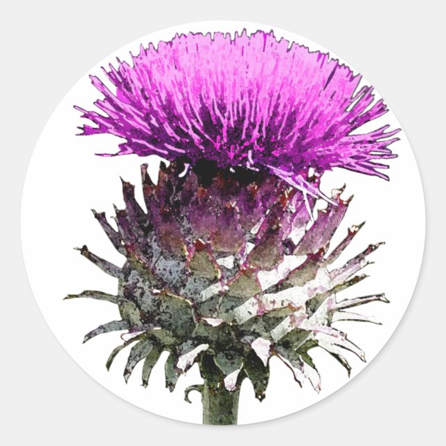 Scottish Thistle Runder Aufkleber (Vorderseite)