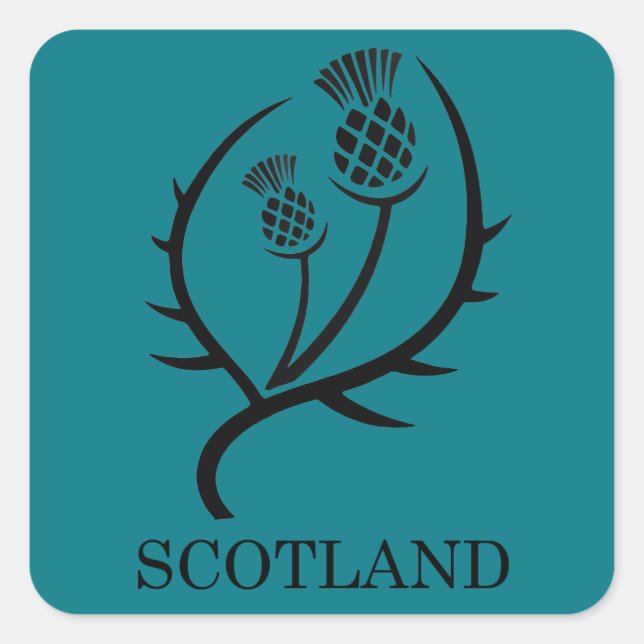Scottish Thistle Scotland Travel Gift Quadratischer Aufkleber (Vorderseite)