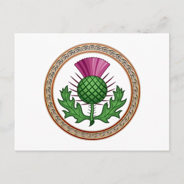 Scottish Thistle Symbol Abzeichen Postkarte (Vorderseite)