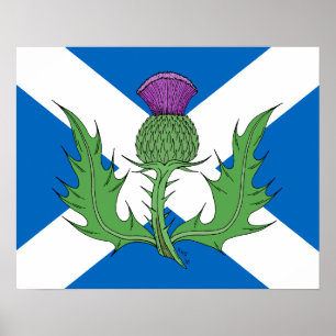 Scottish Thistle und Salreifen Poster