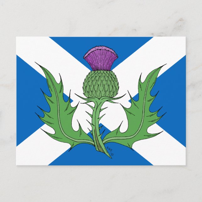 Scottish Thistle und Salreifen Postkarte (Vorderseite)