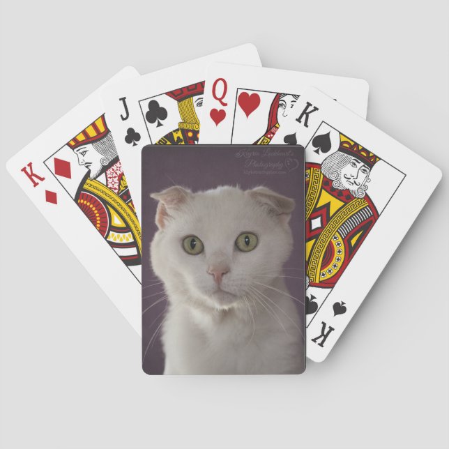 Scottishfalte Katze Spielkarten (Rückseite)