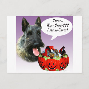 ScottishTerrier Halloween Candy Postkarte