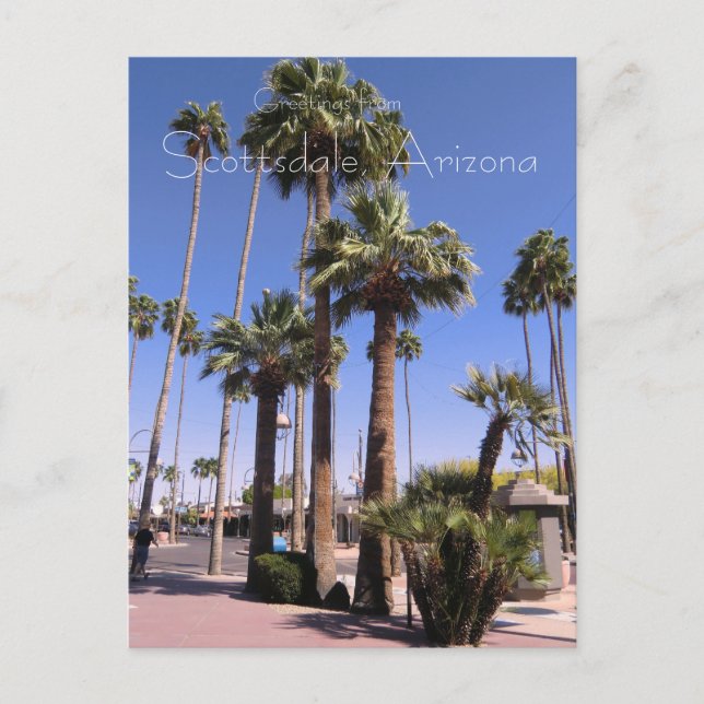 Scottsdale, Arizona Postcard Postkarte (Vorderseite)