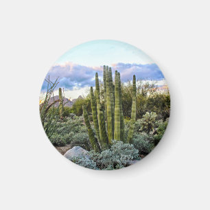 Scottsdale succuled Sunset Magnet