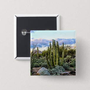 Scottsdale Succulent Sunset Button