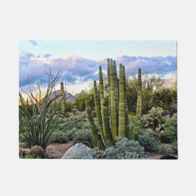 Scottsdale Succulent Sunset Fußmatte (Vorderseite)