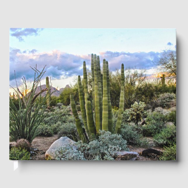 Scottsdale Succulent Sunset Gästebuch (Vorderseite)