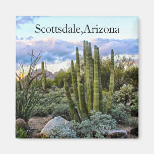 Scottsdale Succulent Sunset Magnet