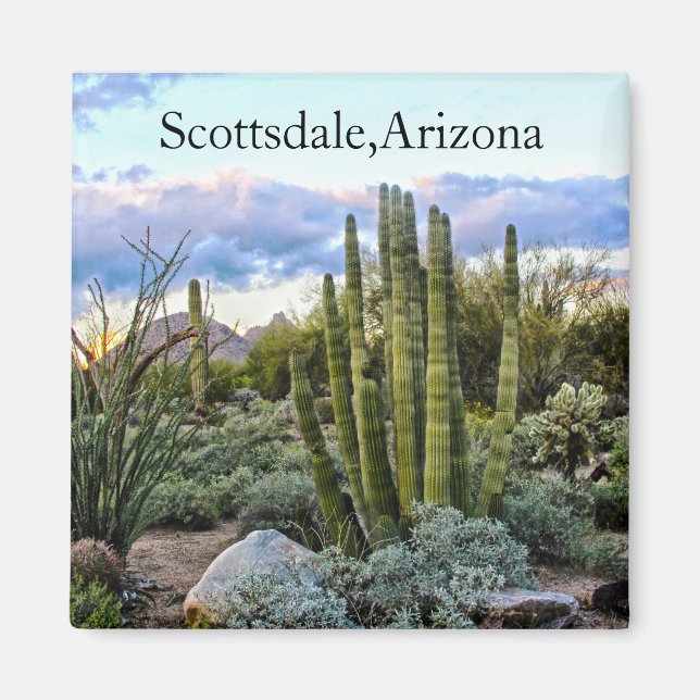 Scottsdale Succulent Sunset Magnet (Vorne)