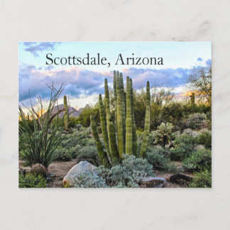 Scottsdale Succulent Sunset Postkarte
