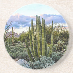 Scottsdale Succulent Sunset Sandstein Untersetzer