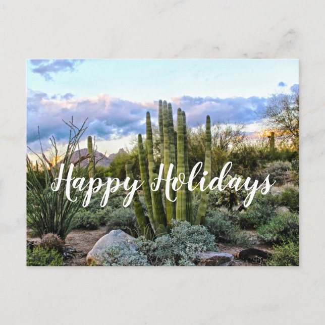 Scottsdale Succulent Sunset, Scottsdale, Arizona Postkarte (Vorderseite)