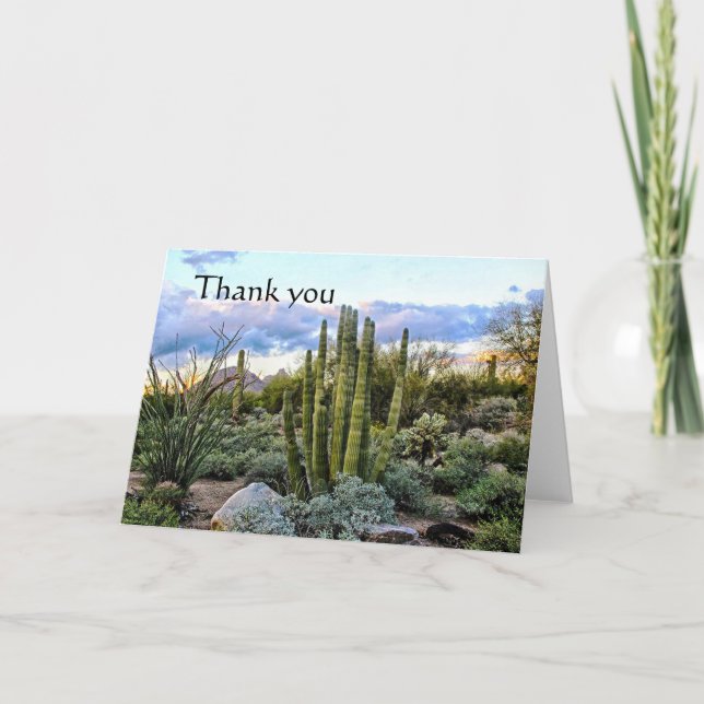 Scottsdale Succulent Sunset vielen Dank Dankeskarte (Vorderseite)
