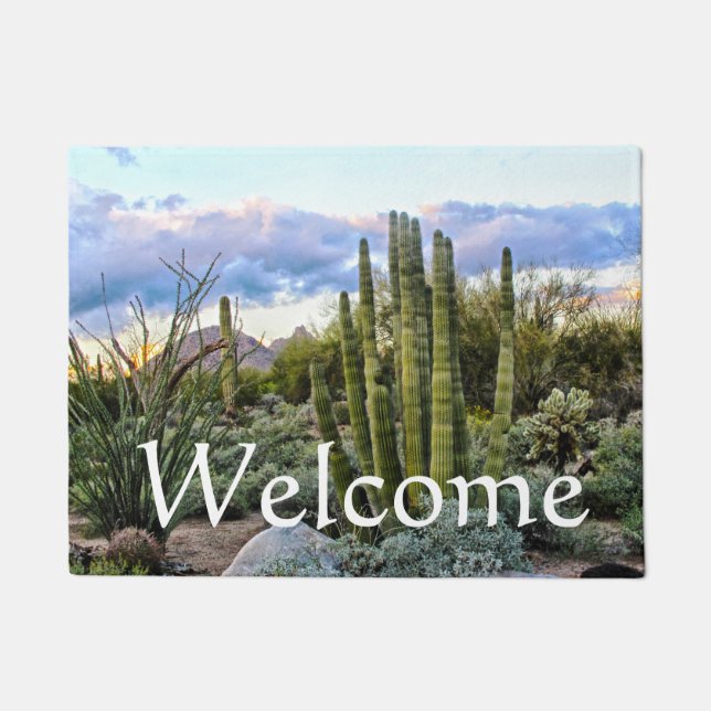 Scottsdale Succulent Sunset, willkommen Fußmatte (Vorderseite)