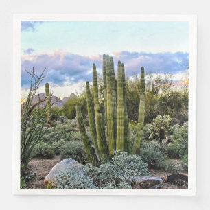 Scottsdale Sukkulter Sonnenuntergang Serviette