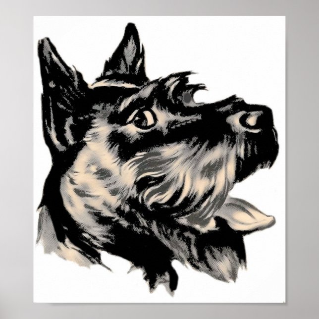 Scotty Dog Poster (Vorne)