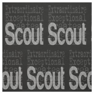 Scout Extraordinaire Stoff