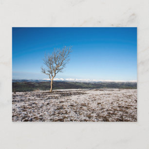 Scout Scar Winter Lake Distrct England Postkarte