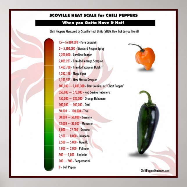 Scoville Heat Scale für Chili Paprikaschoten Poste Poster (Vorne)