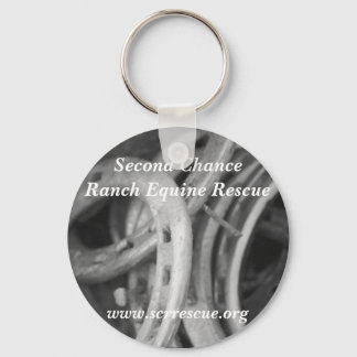 SCR-Schlüsselanhänger Schlüsselanhänger