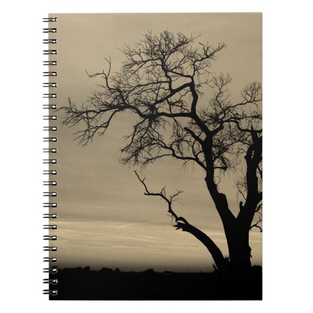 Scraggly Tree Silhouette Notizblock (Vorderseite)