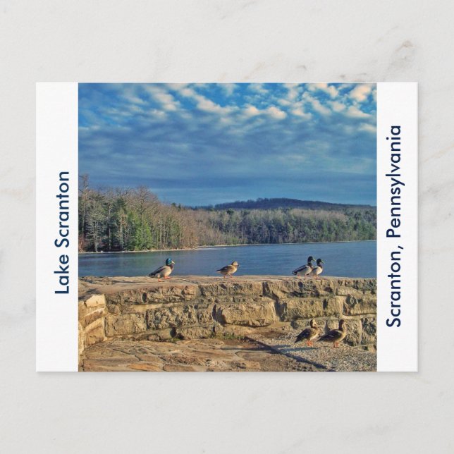 Scranton PA-Lake Scranton Post Card Encks Postkarte (Vorderseite)