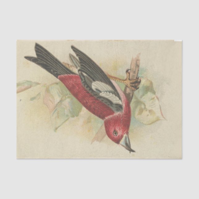 Scrap Ephemera Design Serie #24 Seidenpapier (Vorderseite)