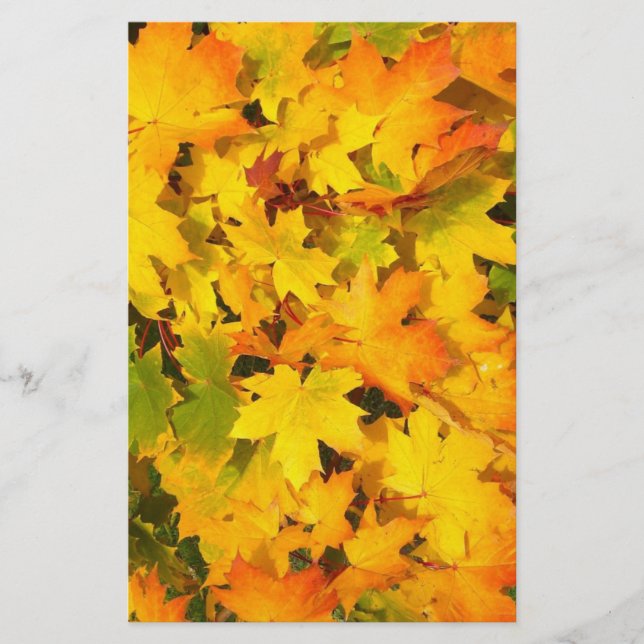 Scrapbook Paper der Herbstmaple-Blätter Briefpapier (Vorderseite)