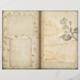 Scrapbook Paper des Vintag Botanischen Gartens